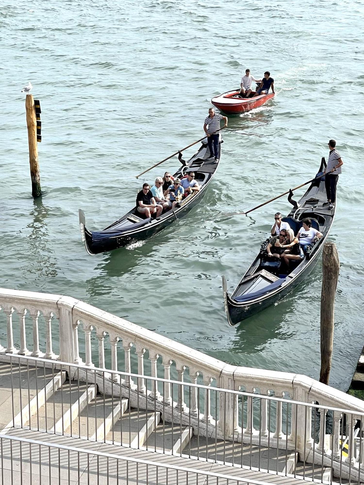 Apartment The B Collection - San Marco Riva Schiavoni Venice